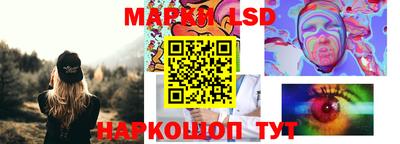 spice Моздок