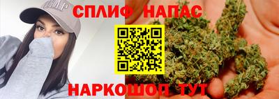 spice Моздок
